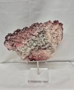 Roze Haliet, Verzenden