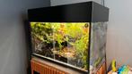 Paludarium 80lx50dx65h compleet, Dieren en Toebehoren, Reptielen en Amfibieën, Schildpad