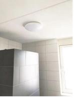 Noxion sensor lamp, Ophalen, Nieuw