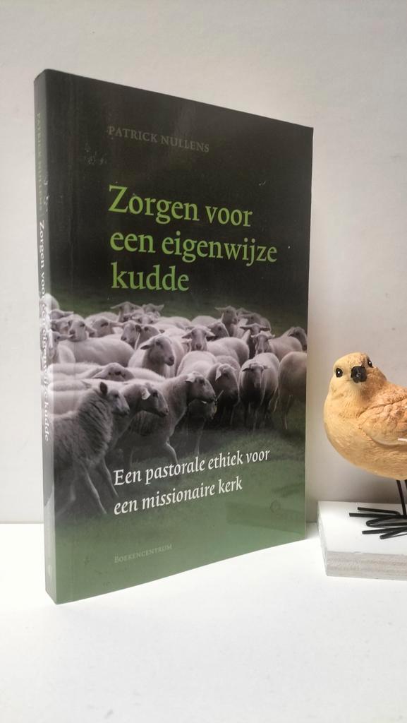 Nullens, Patrick; Zorgen voor een eigenwijze kudde, Boeken, Godsdienst en Theologie, Gelezen, Christendom | Protestants, Ophalen of Verzenden