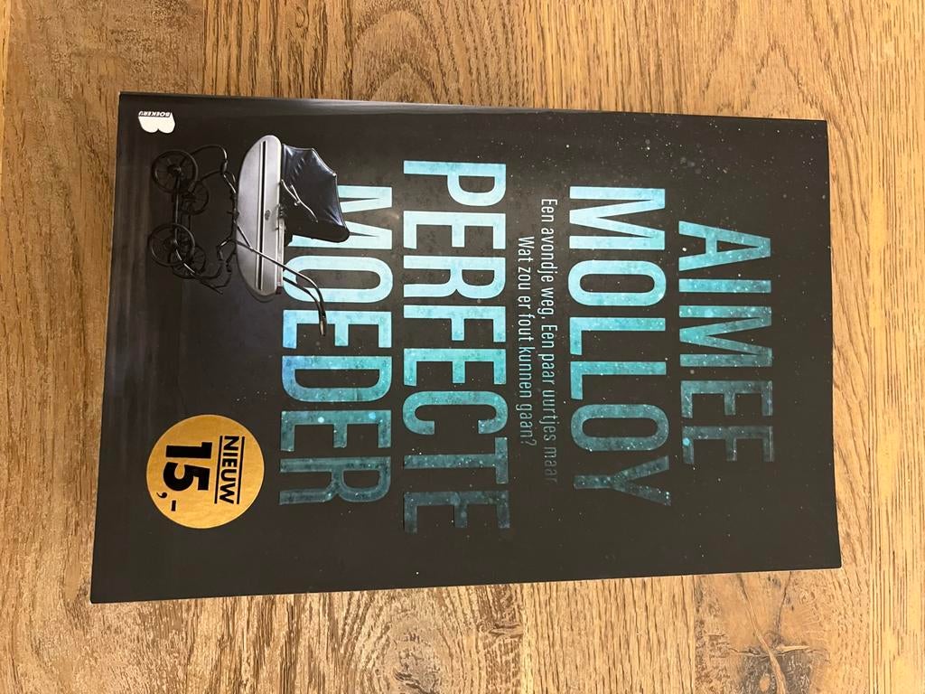 Perfecte Moeder - Aimee Molloy, Ophalen of Verzenden, Zo goed als nieuw, Nederland