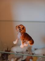 Schleich beagle 16332, Verzamelen, Ophalen of Verzenden, Gebruikt, Paard, Beeldje of Figuurtje
