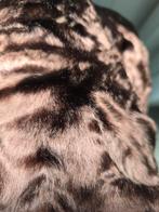 I.P.V € 2500 nu € 350,-! Exclusieve Zijde Pluche Stof, Hobby en Vrije tijd, Stoffen en Lappen, Ophalen, Bruin, 30 tot 120 cm, Satijn of Zijde