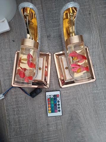 APPARTE WAND LAMPEN . beschikbaar voor biedingen