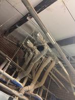 Voersysteem 4 jaar oud [528], Boekhorst Trading, Info@boekhorsttrading.com, Singel 16, Horssen