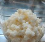 Verse Biologische Kefir culturen, Ophalen of Verzenden