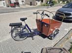 Tweedehands elektrische Cargo Trike grote hondenbakfiets, Overige merken, Gebruikt, Ophalen of Verzenden, Bakfix