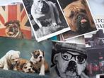 verzameling Engelse Bulldog kaarten, Verzamelen, Nieuw, Ophalen, Hond of Kat