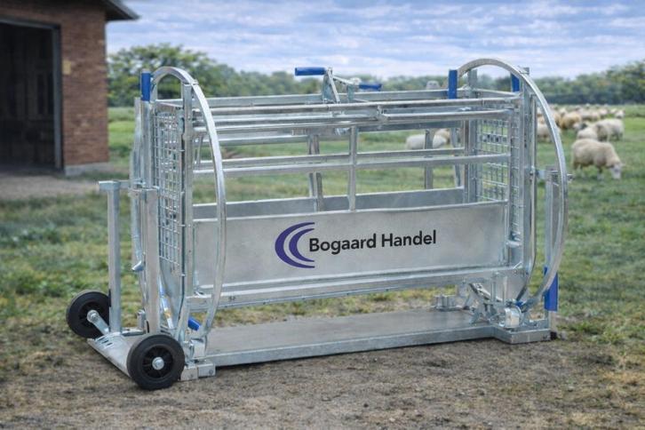 schapen/geiten bekapbox, Dieren en Toebehoren, Schapen, Geiten en Varkens, Schaap, Vrouwelijk