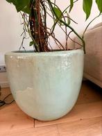 Keramieken plantenbak en monstera, Tuin en Terras, Bloembakken en Plantenbakken, Ophalen, Steen, Minder dan 60 cm, Rond