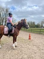 Diverse dekjes, Dieren en Toebehoren, Paarden en Pony's | Dekens en Dekjes, Ophalen of Verzenden