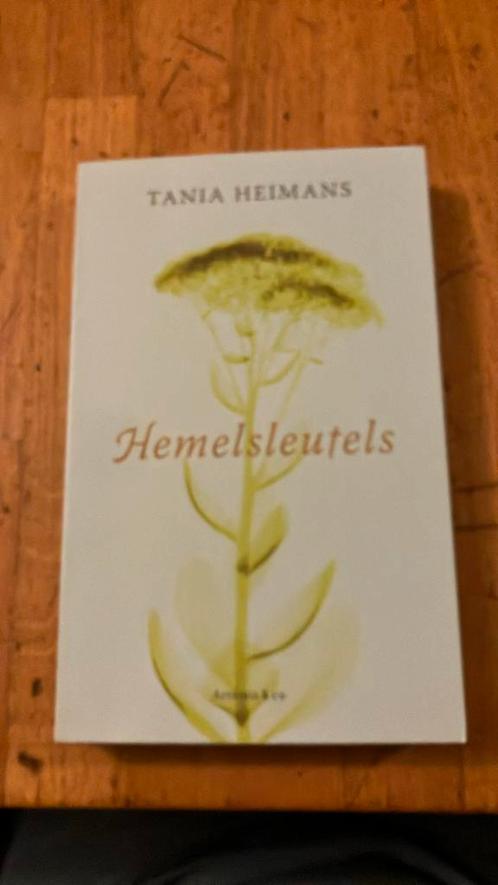 Tania Heimans - Hemelsleutels, Boeken, Literatuur, Zo goed als nieuw, Nederland, Ophalen of Verzenden