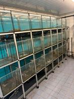 Aquarium stelling,kweekstelling,garnalenstelling,guppen stel, Dieren en Toebehoren, Vissen | Aquaria en Toebehoren, Ophalen of Verzenden