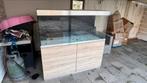 Oase HighLine Optiwhite 400 Set eiken + exctra s ,fluval fx4, Dieren en Toebehoren, Vissen | Aquaria en Toebehoren, Ophalen, Zo goed als nieuw