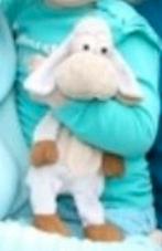 knuffel gezocht, Kinderen en Baby's, Speelgoed | Knuffels en Pluche, Ophalen, Zo goed als nieuw, Overige typen