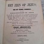 Het Zien op Jezus - Ambrosius, 1861, Ophalen of Verzenden