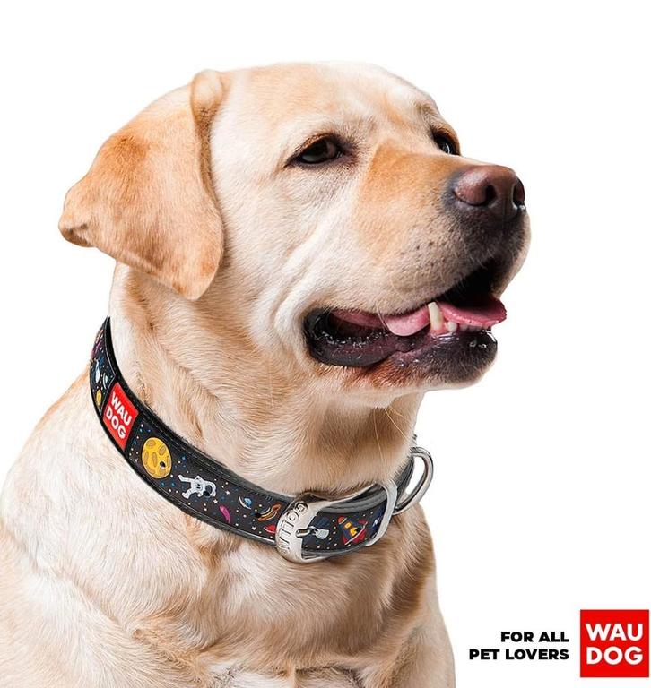 WAUDOG Nasa Lederen Halsband Zwart Nekomtrek 37-48 cm -40%!, Dieren en Toebehoren, Hondenhalsbanden en Penningen, Nieuw, Handgemaakt