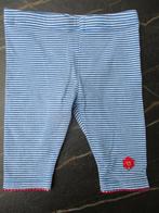 Frendz broekje blauw / wit gestreept maat 62 broek, Broekje, Meisje, Frendz, Ophalen of Verzenden
