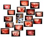 8mm film Africa Vivid Veldt - rooiig - 60mtr - "Born Free", Audio, Tv en Foto, Filmrollen, Verzenden, 16mm film
