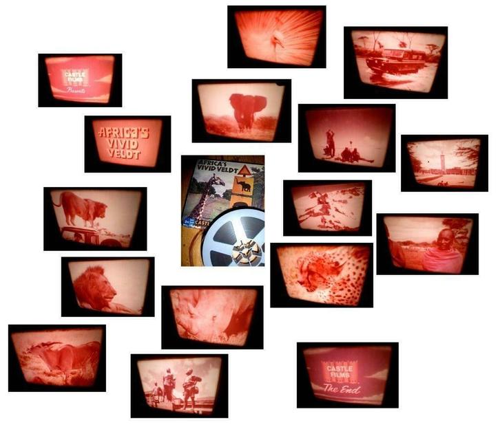 8mm film Africa Vivid Veldt - rooiig - 60mtr - "Born Free", Audio, Tv en Foto, Filmrollen, 16mm film, Verzenden