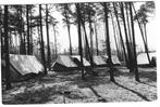 H103  Hierden  C,J.V, Kamp Huisthorst, Verzamelen, Verzenden, 1940 tot 1960, Gelopen, Gelderland