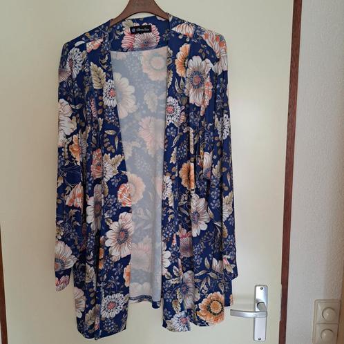 21) vest Kleur blauw Merk chrissize mt 4, Kleding | Dames, Grote Maten, Zo goed als nieuw, Blouse of Tuniek, Blauw, Ophalen of Verzenden