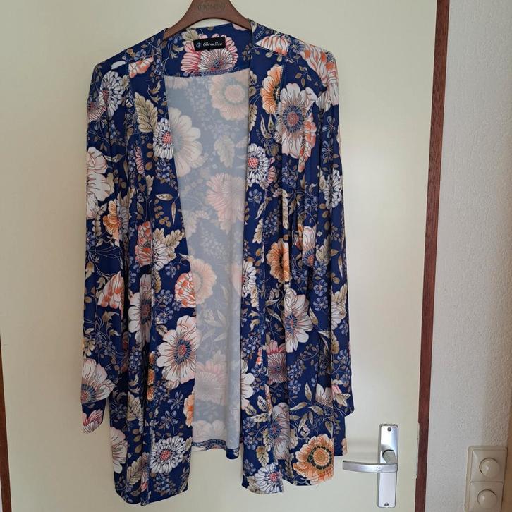 21) vest Kleur blauw Merk chrissize mt 4, Kleding | Dames, Grote Maten, Zo goed als nieuw, Blouse of Tuniek, Blauw, Ophalen of Verzenden