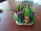 Aqarium  Sierplant (Gloed en Gloed Nieuw)., Ophalen of Verzenden, Nieuw, Plant(en), Steen of Hout