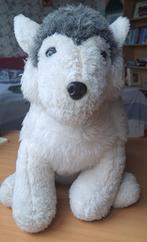 Knuffeldier, Ophalen of Verzenden, Zo goed als nieuw, Hond