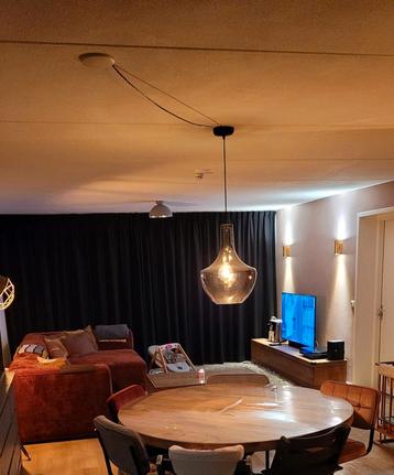 Prachtige hanglamp van rookglas beschikbaar voor biedingen