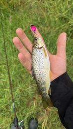 Lepels voor forel of baars, Ophalen of Verzenden, Nieuw, Overige typen