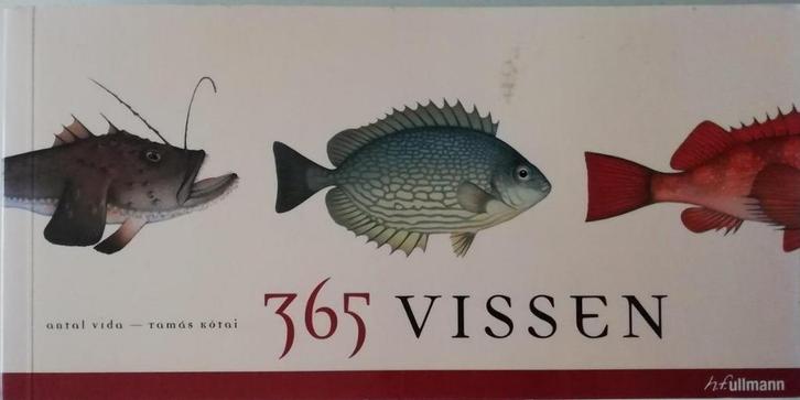 365 vissen Auteur: Antal Vida, Boeken, Kunst en Cultuur | Beeldend, Zo goed als nieuw, Schilder- en Tekenkunst, Ophalen of Verzenden