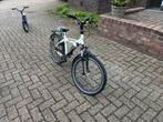 Alpina yabber, Ophalen, Gebruikt, 20 inch