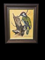 Schilderij GROENE SPECHT. Gesign., Ophalen of Verzenden