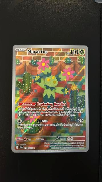 Maractus #160/159 beschikbaar voor biedingen