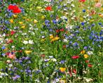 Inheemse Bloemenmix Vlinders & Bijen 5gr, Ophalen of Verzenden, Voorjaar, Volle zon, Zaad