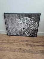 Luipaard Print - Zwart-Wit, Ingelijst, Ophalen