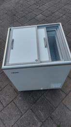 Horeka / winkel Vrieskist 150 litre, Vrieskist, Gebruikt, Energieklasse A of zuiniger, Ophalen