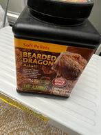 Bearded dragon adult, Dieren en Toebehoren, Slang, 0 tot 2 jaar