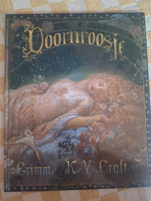 Doornroosje KY Craft, Boeken, Prentenboeken en Plaatjesalbums, Zo goed als nieuw, Ophalen of Verzenden