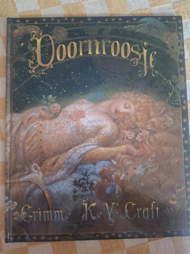 Doornroosje KY Craft, Boeken, Prentenboeken en Plaatjesalbums, Zo goed als nieuw, Ophalen of Verzenden