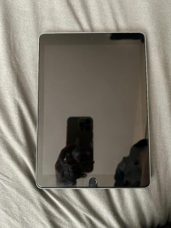 iPad Pro 128GB - 9.7 inch, Computers en Software, Apple iPads, Gebruikt, Apple iPad, Wi-Fi, 9 inch, 128 GB, Grijs, Ophalen of Verzenden