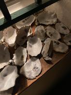 schone oester schelpen vijftien stuks vaste prijs, Hobby en Vrije tijd, Knutselen, Ophalen of Verzenden, Materiaal