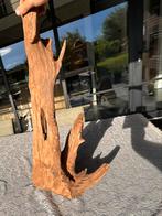 Prachtig stuk Kienhout / Driftwood / Spiderwood Terrarium, Ophalen of Verzenden