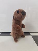 Schattige Dory Otter Knuffel - Zo Goed Als Nieuw!, Ophalen of Verzenden, Zo goed als nieuw, Overige typen