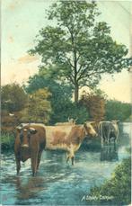 6 prentkaarten "Milton postcard".landschappen, voor 1940, Ophalen of Verzenden, Zo goed als nieuw, Voor 1940, Prent
