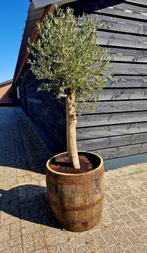 Eikenhouten bloembakken - wijn/whiskyvaten - Tuindecoratie, Tuin, Rond, Nieuw, Ophalen of Verzenden