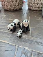 Playmobil Panda Familie 70353, Ophalen of Verzenden, Zo goed als nieuw, Overige typen