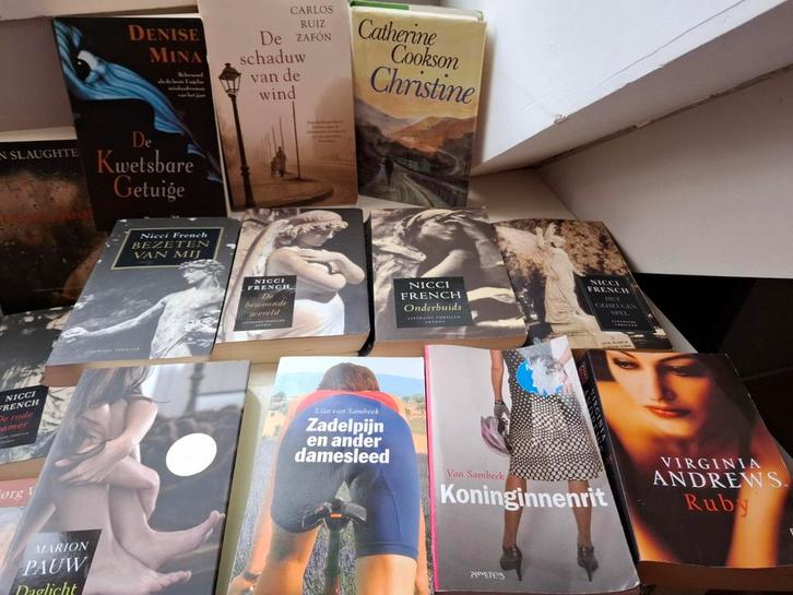 Leesboeken 27 stuks, Boeken, Fantasy, Zo goed als nieuw, Ophalen of Verzenden