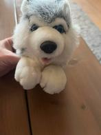 Husky knuffel speelgoed honden knuffels husky’s, Verzenden, Nieuw, Hond